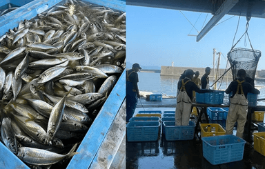 地域の特産品や文化を届けてきた株式会社ワールド・ワンでご勤務しませんか。