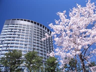 【帝国ホテルグループ】の安定した体制のもと活躍しませんか？