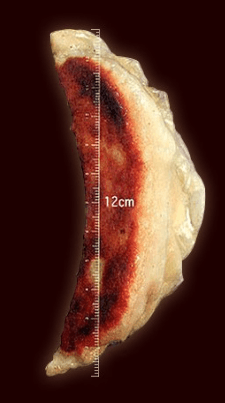 半世紀以上愛される名物ジャンボ餃子。12cmの大きさと、職人の手仕事が店の歴史を物語ります。