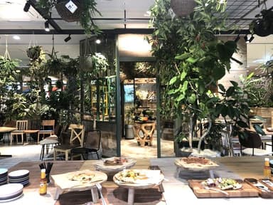 上場企業が運営するオシャレカフェ◎穏やかな雰囲気の中で明るい職場環境が魅力です。