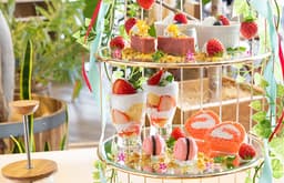 オリジナリティの高い自社ブランドを多数展開し、常に新しい「食」を生み出しているSORA GROUP！