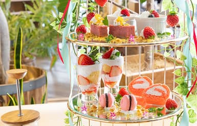 オリジナリティの高い自社ブランドを多数展開し、常に新しい「食」を生み出しているSORA GROUP！