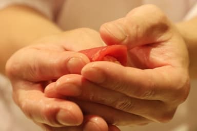 厳選されたネタの数々。確かな目利きと技術が身につきます。