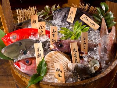 漁師直結の「産地船上仕込み」による最高鮮度の食材を扱い、調理の本質を学びながら感性を磨ける環境です。