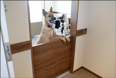 愛犬と泊まれるリゾートホテルの新規開業にともない、調理スタッフを募集！