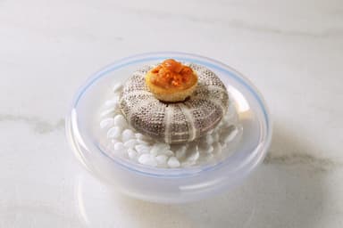 さまざまな食材や技法に触れながら、料理をもっと楽しみませんか？
