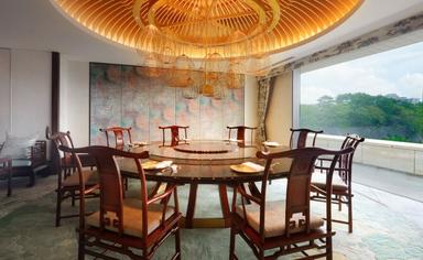 点心からメイン料理まで多彩な技術を習得可能。味だけでなく見た目や香りまで極める中華の技を磨けます。