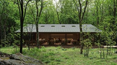 自然に囲まれた北軽井沢で、料理人としての新たな表現と向き合う日々。