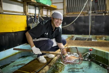 全室オーシャンビューの旅館『海宿 千年松』で調理スタッフを募集しています。