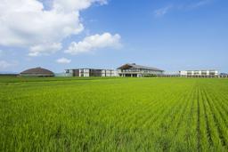 田んぼや山、川に囲まれた庄内。豊かな自然と歴史ある食文化に触れ、料理人として成長するための環境。