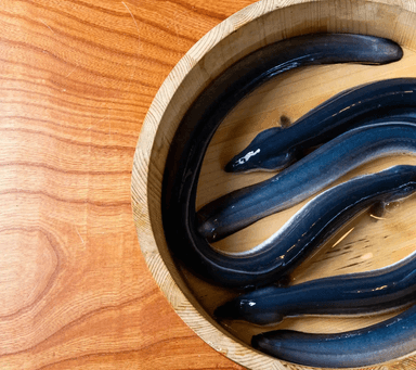 接客業務一切なし!オンライン販売向けうなぎの捌きや炭火焼きなど調理加工だけに集中できる環境です。