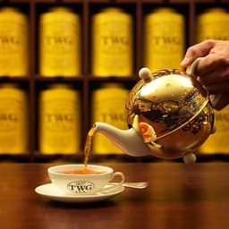 世界中のお茶に関する深い専門知識を学びながら、接客のプロフェッショナルとしてスキルを磨けます。