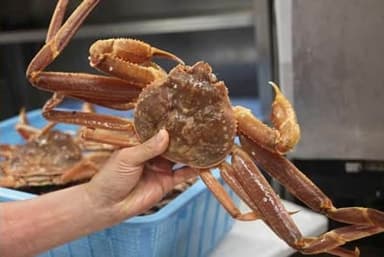 札幌かに本家 福岡那の川店が調理スタッフを募集します。