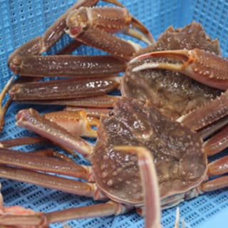 札幌かに本家 が調理スタッフを募集します。