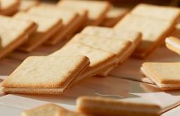 経験・スキルを発揮し、新天地でご活躍ください!