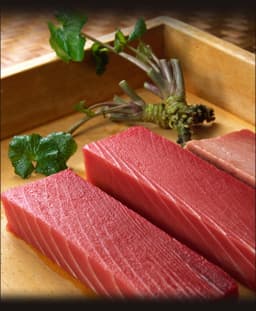 さまざまな魚に触れながら、料理人としてできることをさらに増やせます。